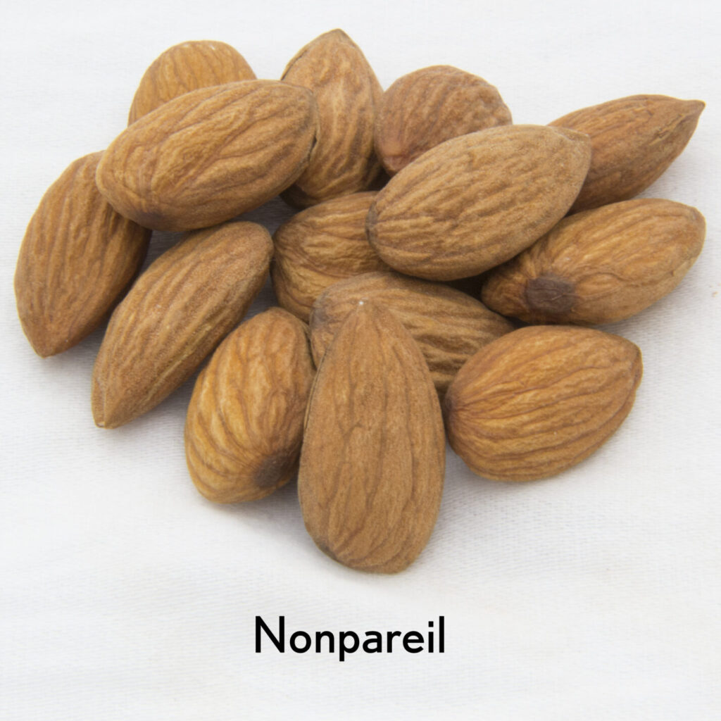 Nonpareil Almonds