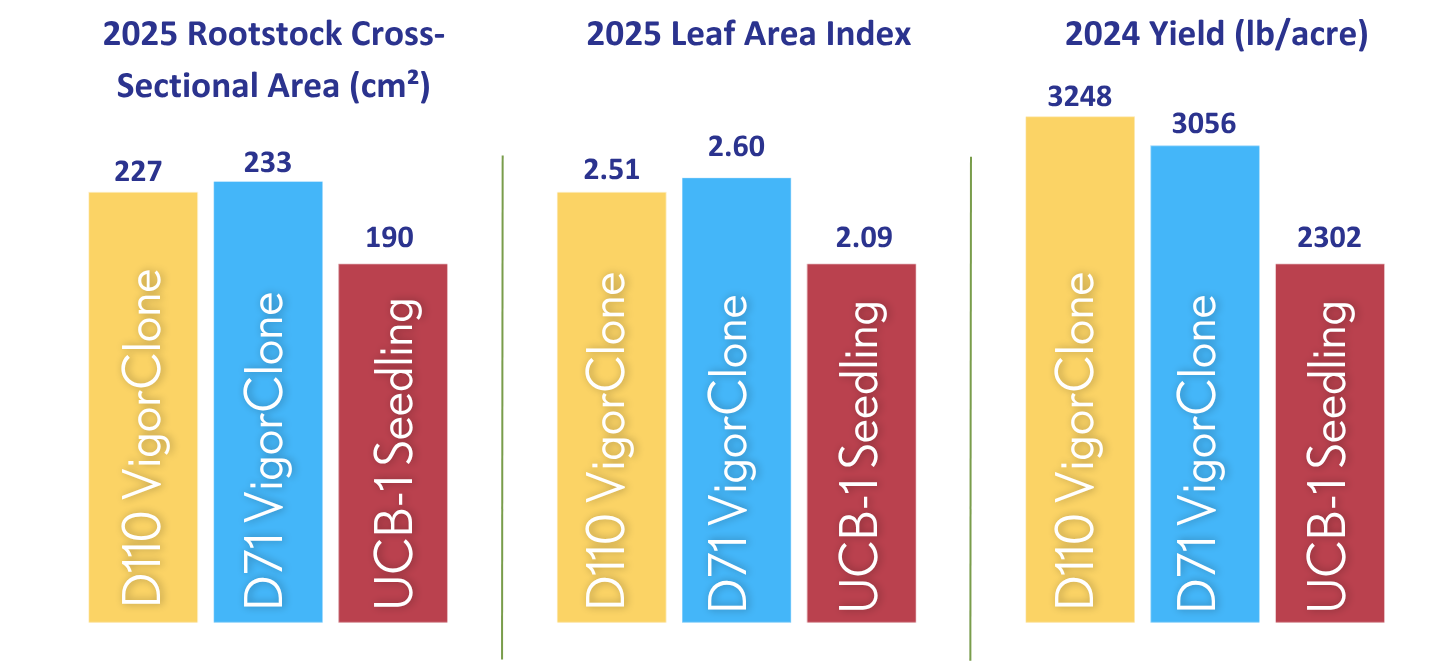 Indiana Yield-Size Graphs 2025
